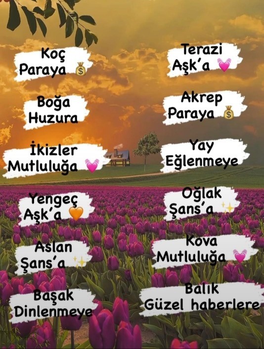 burcuna g�re bu ay en cok neye ihtiyac var _?_