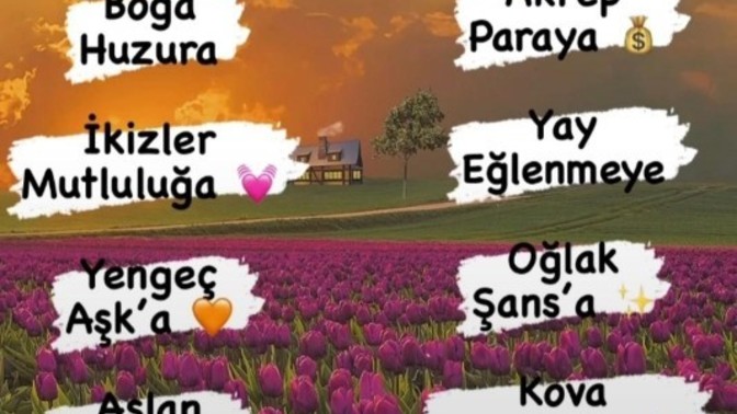 Burcuna göre bu ay en çok neye ihtiyacı var?
