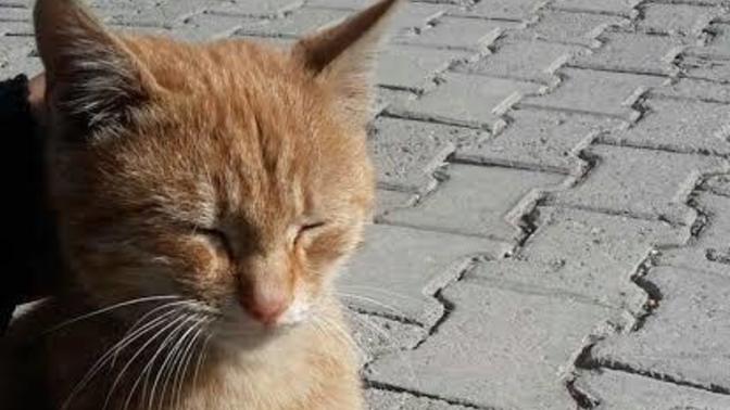 Asla tahammül etmeyeceğiniz davranış nedir?