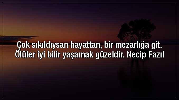 Ölünce mezar taşında ne yazılsın istersin?