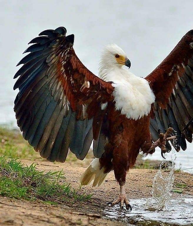 Sabah sabah kendinizi nasıl hissediyorsunuz?