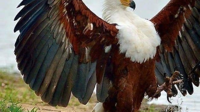 Sabah sabah kendinizi nasıl hissediyorsunuz?
