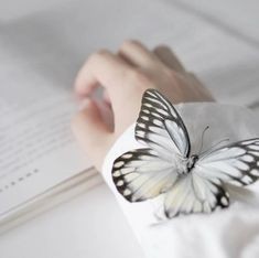 🦋Her şey bir şeyleri etkiler 🦋