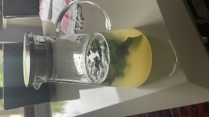 Limonata yaptım, sever misin?