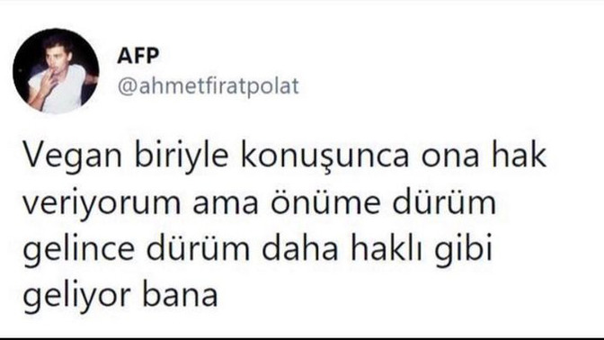 Veganlar mı daha haklı, dürümler mi?