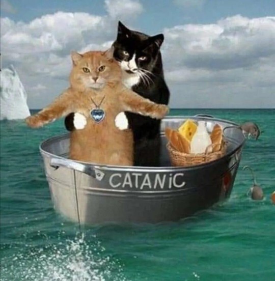 Romantik misin, odundan hallice mi😛?