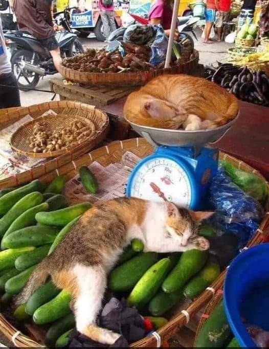 En çok neyin üstünde kendinizi rahat hissedersiniz?
