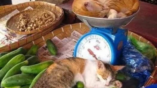 En çok neyin üstünde kendinizi rahat hissedersiniz?