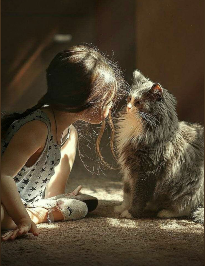 Seninle şöyle olabilirdikdediğiniz ya da demek istediğiniz biri var mı?
