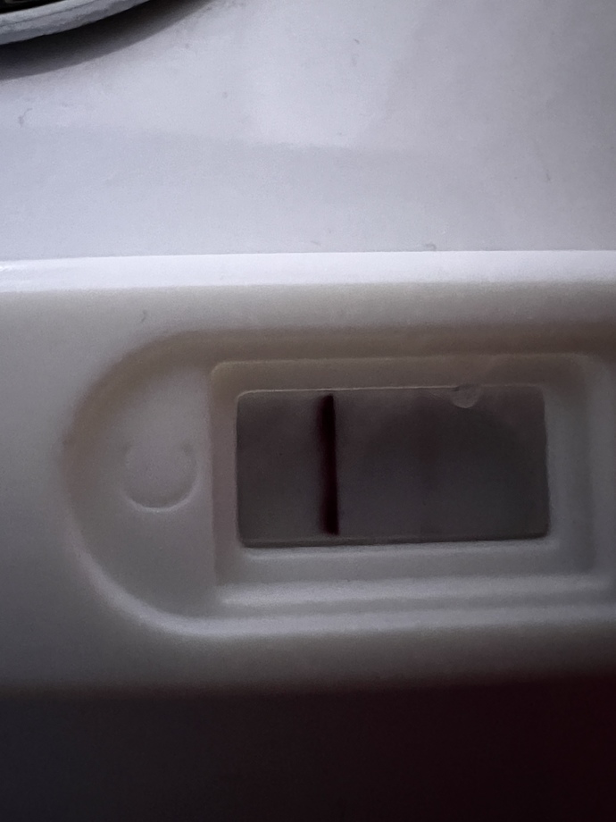 3 tane negatif 2 tane pozitif çıktı hamile olabilir miyim?