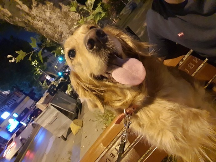 Gecenin bir vakti balkonda oturup hayatı sorgulama seansları başlamıştır 😂, Kimler şu an bu modda? Yalnız olmadığımı biliyorum 😂?