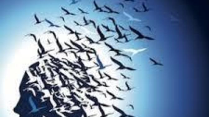 Şu an aklınızdan neler geçiyor?