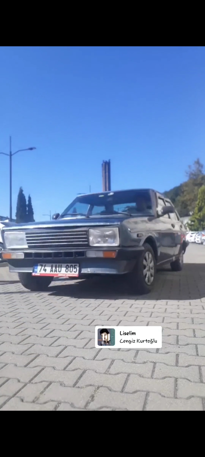 Renk özel bir renk. Temelinde 608 renault var ama biraz daha degistirilmisi.