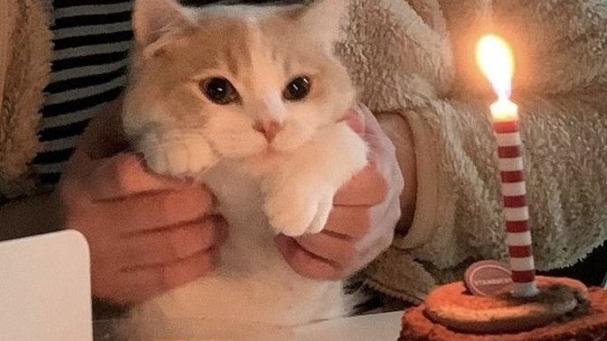Doğum gününüzde aldığınız en güzel hediye neydi?
