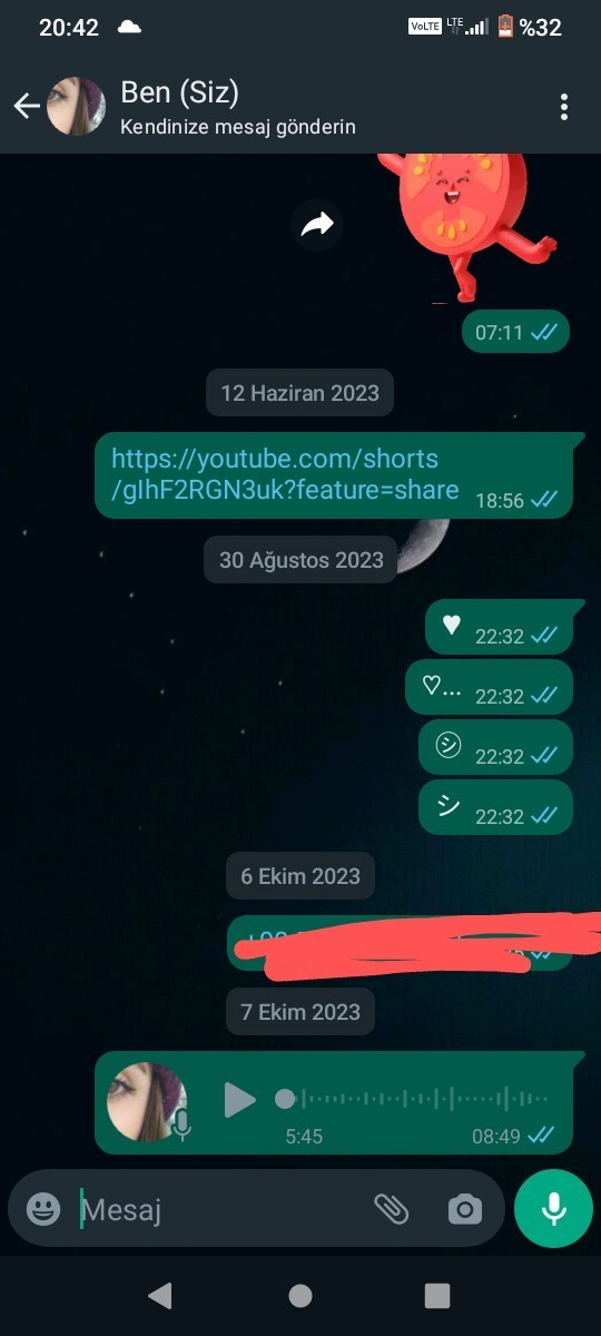 Whatsapp'da kendinize mesaj attınız mı hiç?