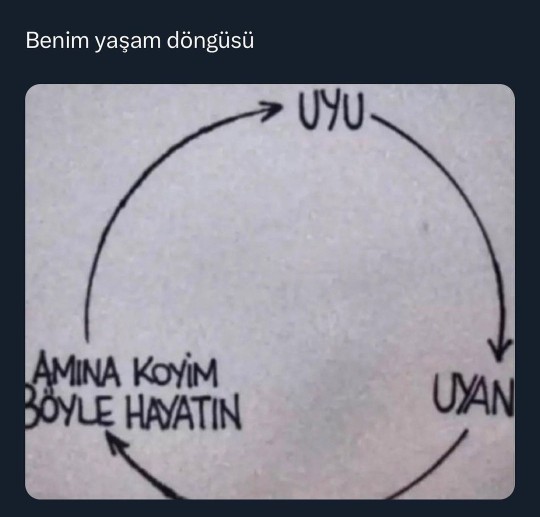 Yaşam döngünüz nedir?