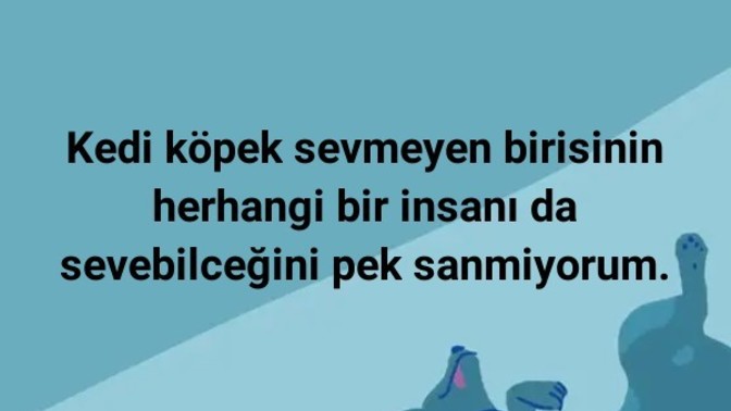 Kedi köpek sevmeyen bir insan sevebilir mi?