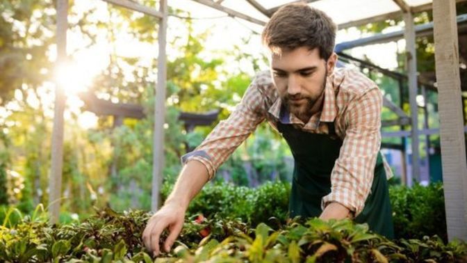 Tatil günlerinde tarlada çalışan erkek itici midir?