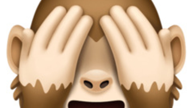 Arkadaşlar “ 🙈 “ bu emoji amin mi demek oluyor?