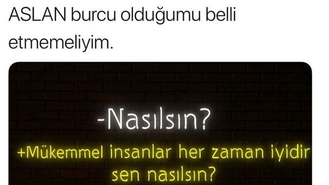 Aslan burcunu iki kelimeyle özetleyin desem, ne derdiniz?