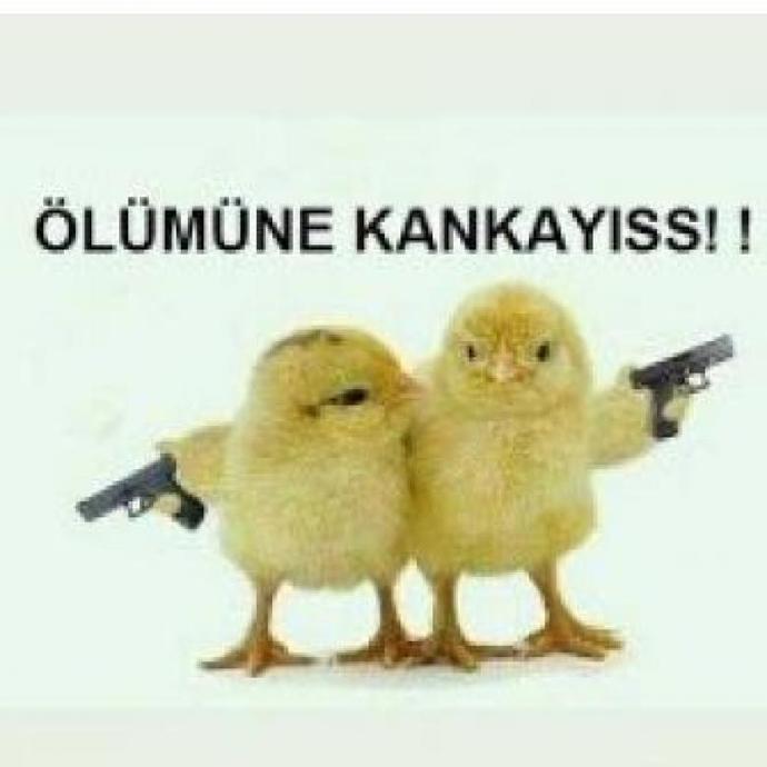 Ölümüne kanka olduğunuz biri var mı?