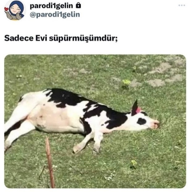Ev işi yapmayı sever misiniz?