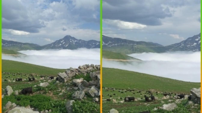 Daha önce hiç yaylaya çıktınız mı?