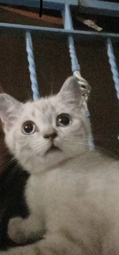 Yazın en çok sevdiğiniz kısa etkinliğiniz nedir?