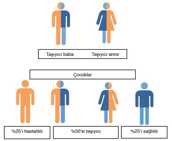 Hangi evlilik daha uzun sürüyor?