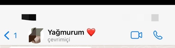 Sevgiliniz telefon rehberine sizi isminiz ile kaydetse bozulur musunuz?