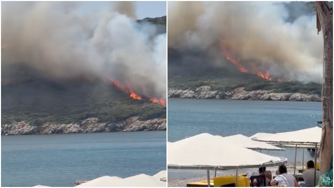 İzmir Urla'da yangın çıktı. Yangınların en büyük sebebi nedir?