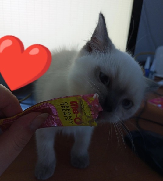 Huzuru kimin yanında bulursunuz?