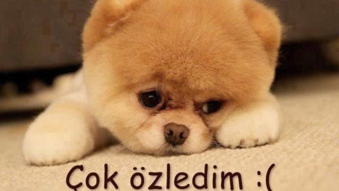 İnsan neyi özler?