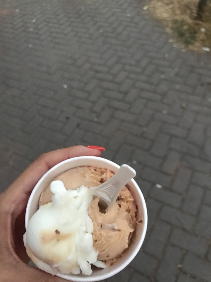 Dondurmayı sever misiniz?
