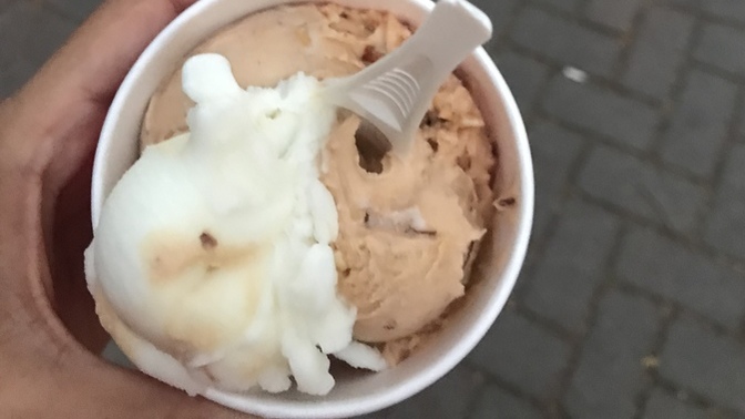 Dondurmayı sever misiniz?