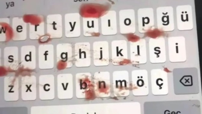 Nankör müsünüz?