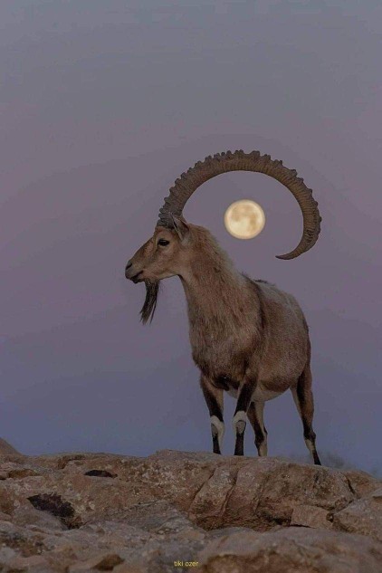 Hoşunuza giden şeyler nelerdir?