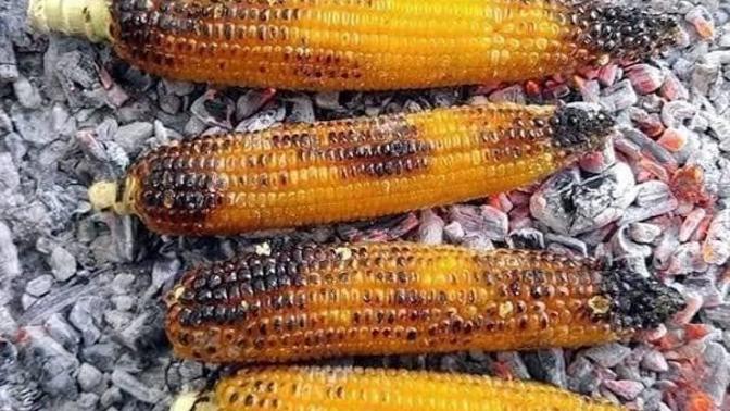 Közde mısır mı yoksa haşlanmış mısırı mı seversiniz?