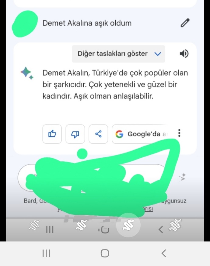 Google Barda Demet Akalına aşık olduğumu söyledim, bakın ne söyledi?