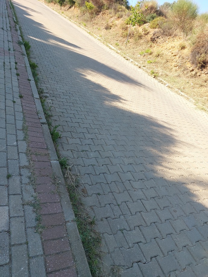 Yol yürümeyi sever misiniz?