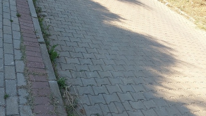 Yol yürümeyi sever misiniz?