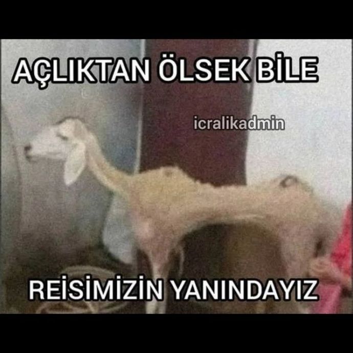 ᅠᅠᅠᅠᅠ