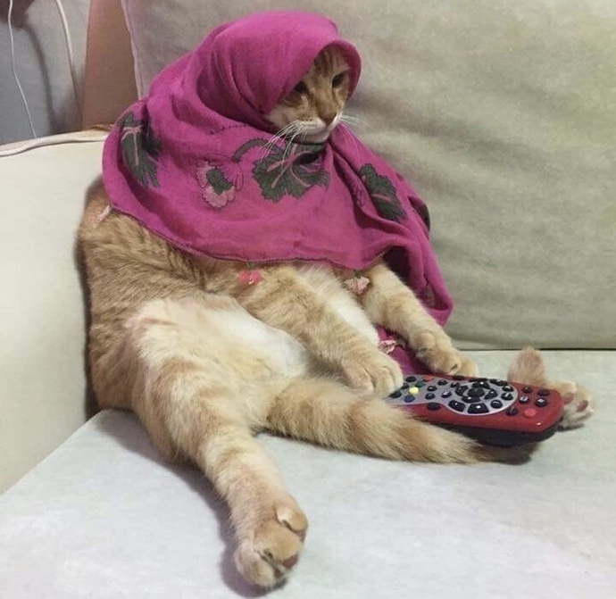 Beklediğiniz herhangi bir şey var mı🥱?