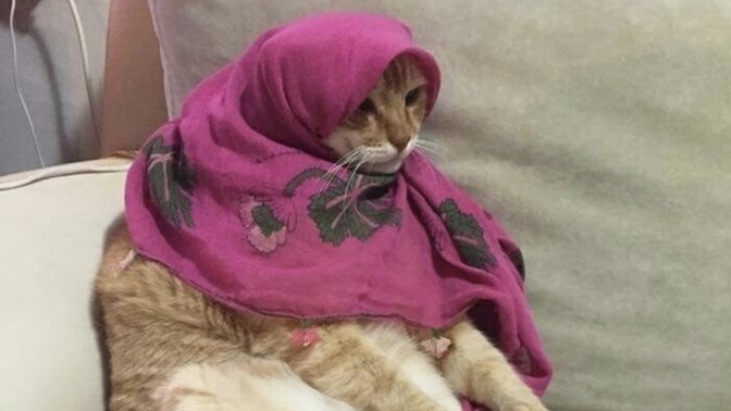 Beklediğiniz herhangi bir şey var mı🥱?