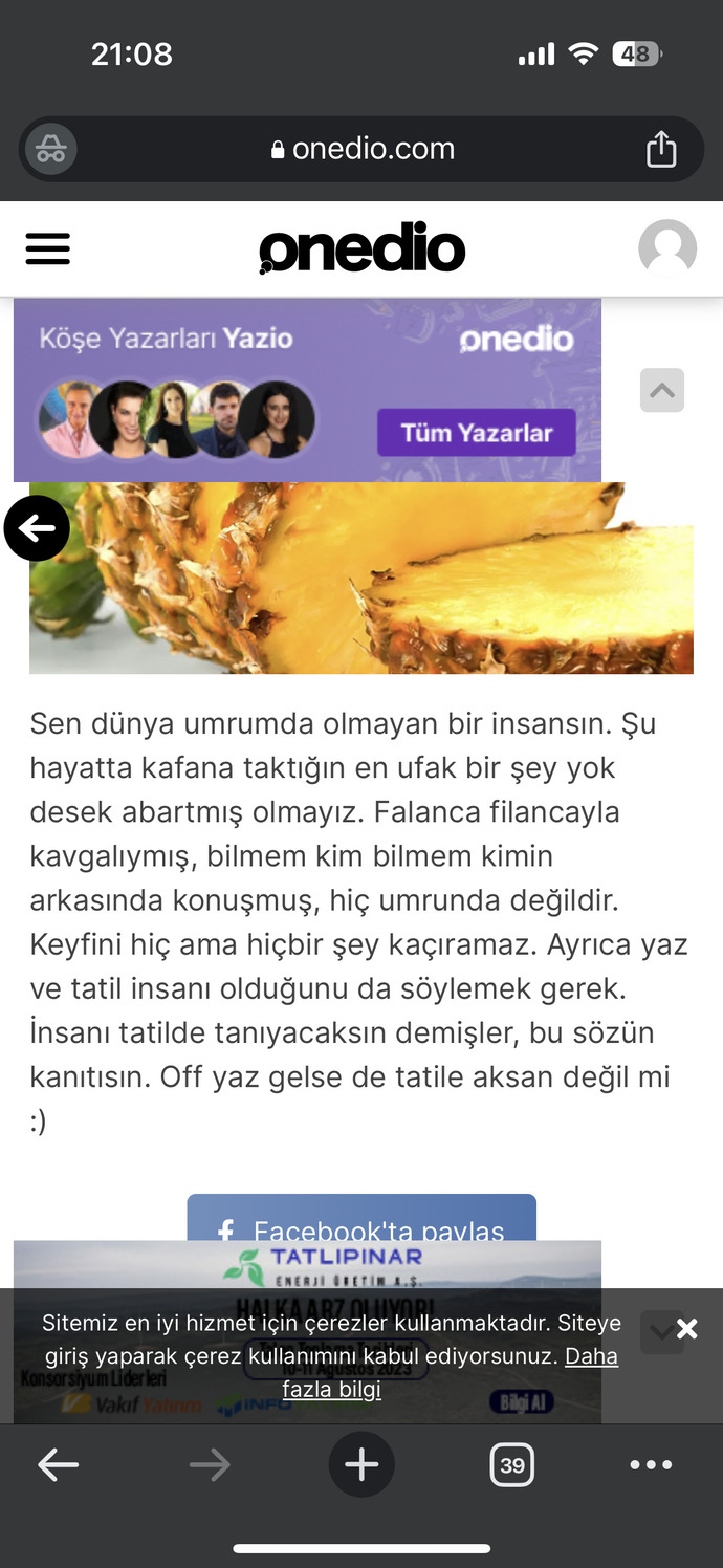 Bir meyve olsaydınız ne olurdunuz?