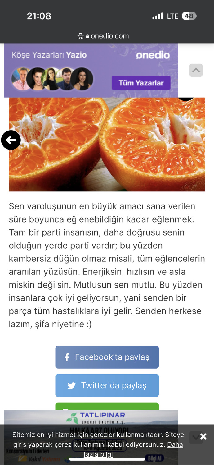 Bir meyve olsaydınız ne olurdunuz?