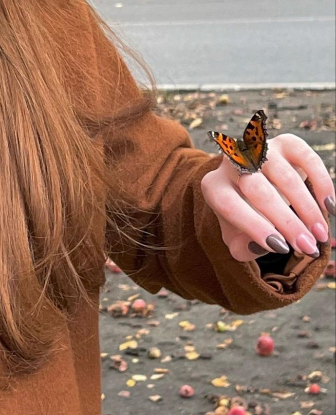 🦋✨