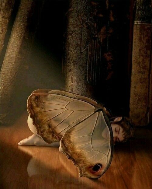 🦋Her şey bir şeyleri etkiler 🦋