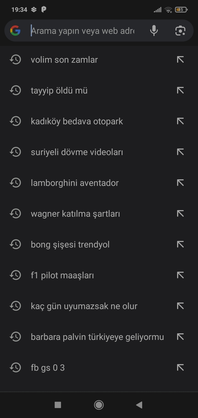 Google arama geçmişinizde en son arattığınız şey ney?