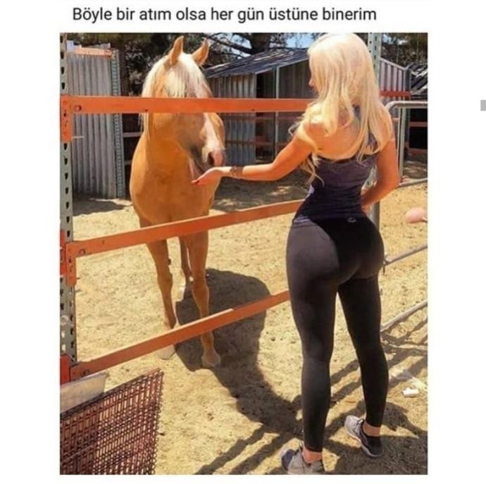 At gibi kadın mı makbuldür yoksa tatlış minnoş ponçik bir kadın mı?